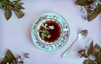 Similar image 21561692