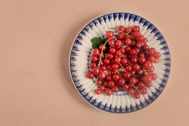 Similar image 21561694