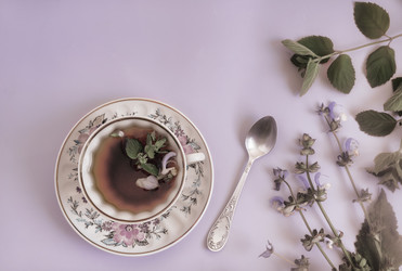 Similar image 21561695