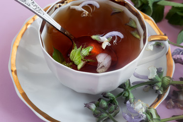 Similar image 21561698