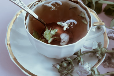 Similar image 21561701