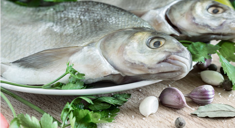 Similar image 21561706