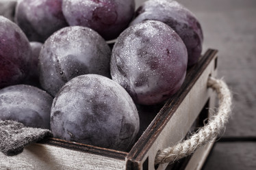 Similar image 21561740