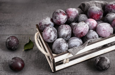 Similar image 21561748