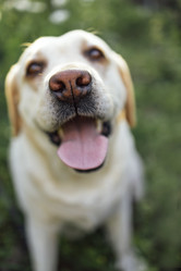 Similar image 21559309