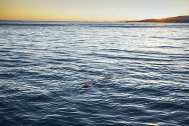 Similar image 21559342