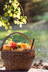 Similar image 21560673