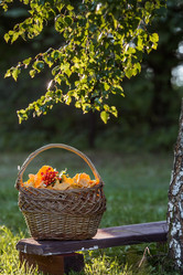 Similar image 21560674