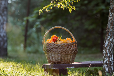 Similar image 21560675