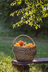 Similar image 21560676