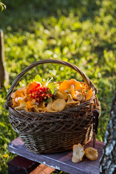 Similar image 21560677