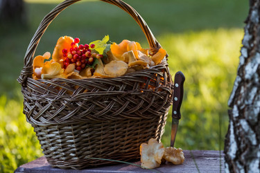 Similar image 21560678