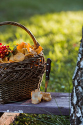 Similar image 21560679