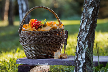 Similar image 21560680