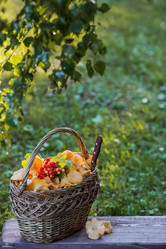 Similar image 21560681