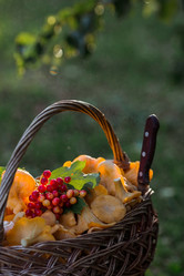 Similar image 21560684