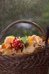 Similar image 21560685