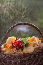 Similar image 21560686