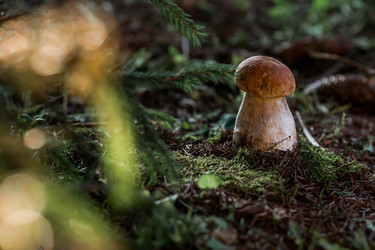 Similar image 21560687