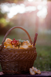 Similar image 21560688