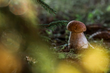 Similar image 21560690