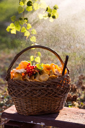 Similar image 21560691