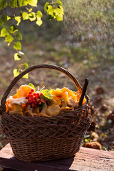 Similar image 21560695