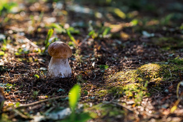 Similar image 21560697