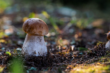 Similar image 21560699