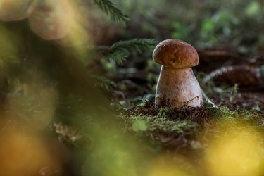 Similar image 21560700