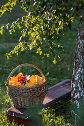 Similar image 21560701