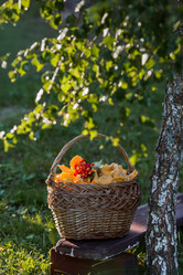 Similar image 21560703