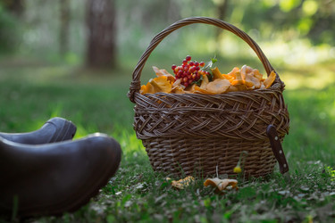 Similar image 21560704