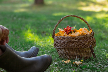 Similar image 21560705