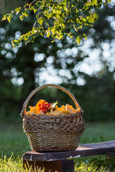 Similar image 21560706