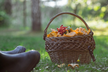 Similar image 21560707