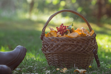 Similar image 21560708