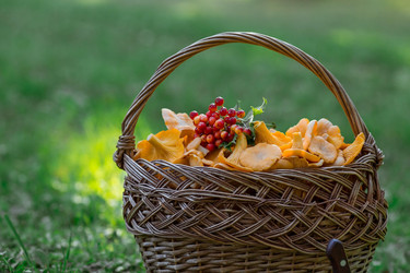 Similar image 21560710