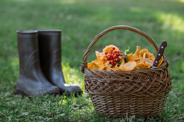 Similar image 21560711