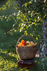 Similar image 21560714