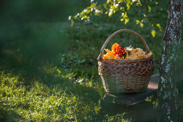 Similar image 21560715