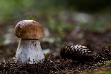 Similar image 21560717