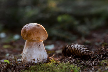 Similar image 21560720