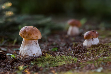 Similar image 21560721