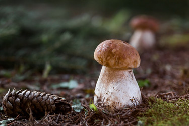 Similar image 21560723