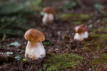 Similar image 21560724