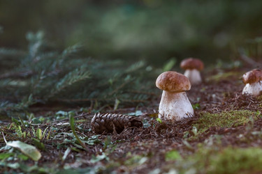 Similar image 21560725