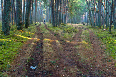 Similar image 21626913