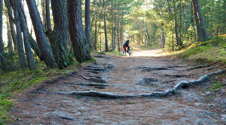 Similar image 21626919