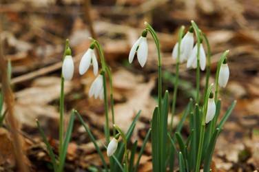 Similar image 21626930